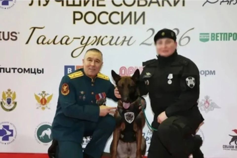 Скуби помог вернуться в строй: Как кинолог из ДНР после ранения продолжила службу в Росгвардии