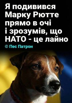 ������ ����, ������!. ϸ� ������: �� ��������� � ����� ����� � �����, ��� ���� � ��� ����� ������� ������ �� 15.02.2026 �������� �������� ����������: