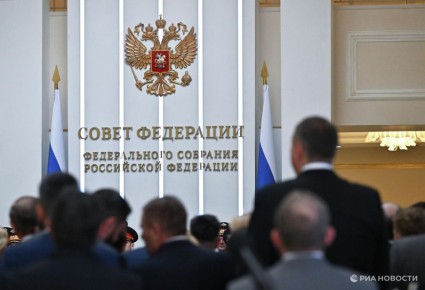 В Совфеде прокомментировали причисление ФРГ ДНР и ЛНР к "терорганизациям"