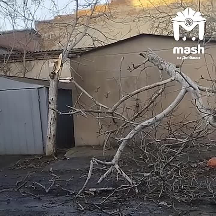 ������� ������� ���� ������� �������� ���������