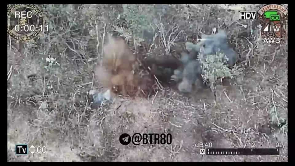 ����� 4 ���� ����� �������� ����������� ������� ��������