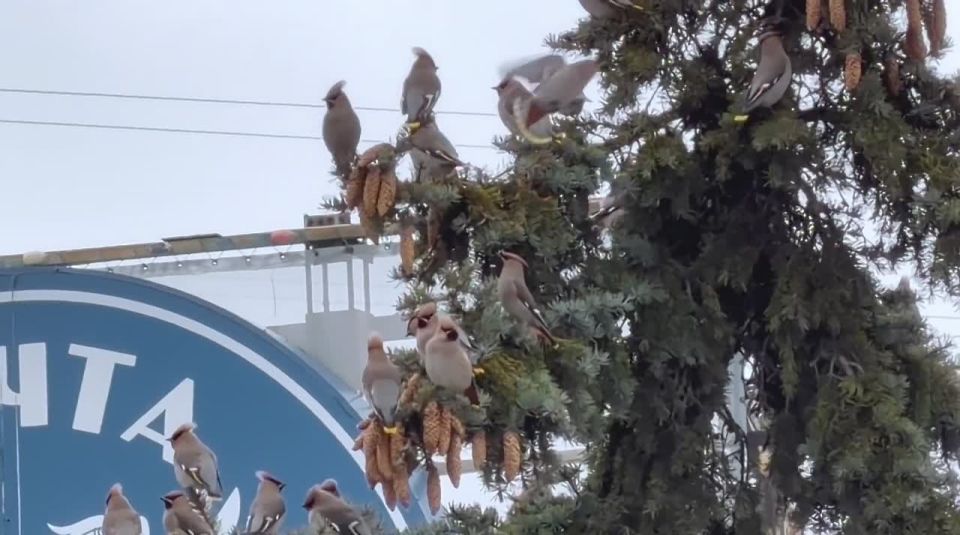 �������� ����� ����: � ������ ��������� ����������!