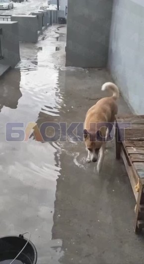 � ������� �� ��������� ������ 24/16 ��-�� ������� ����� ����� ������ ����� ������������ ���������