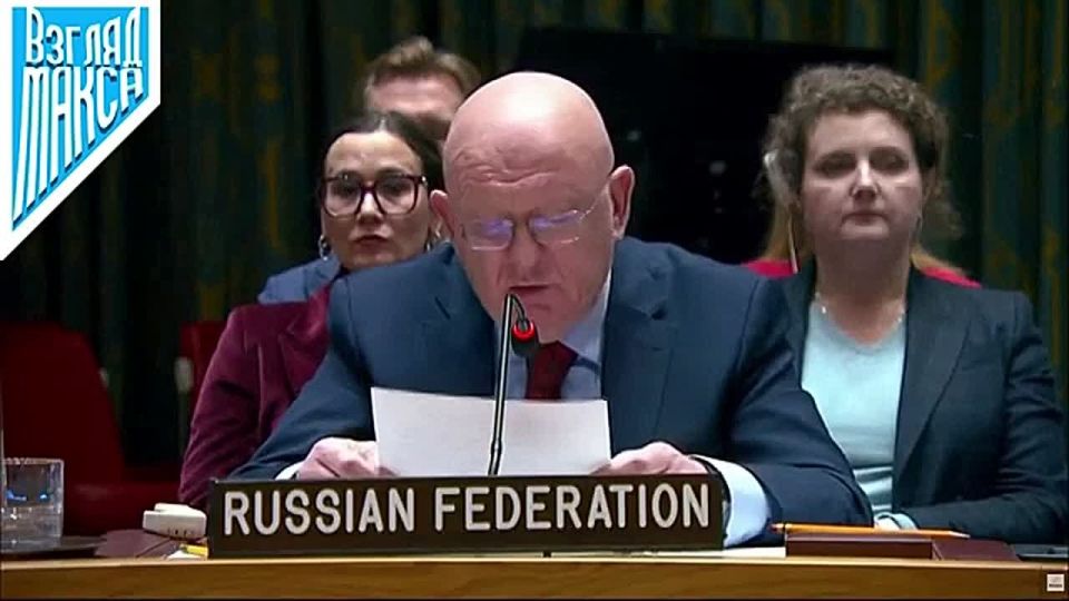 Выступление постоянного представителя России в ООН Василия Небензи на заседании Совета Безопасности по Украине