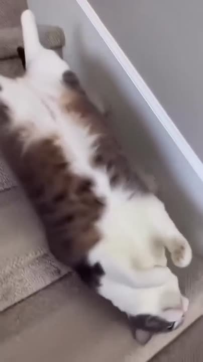 Утро четверга ощущается как-то так