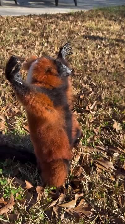 �� �������-�� ������!. ������ ����� �� ����, ���� ������� ����� ���: �����������: ������ -3�, ���� ���������� �� +4�