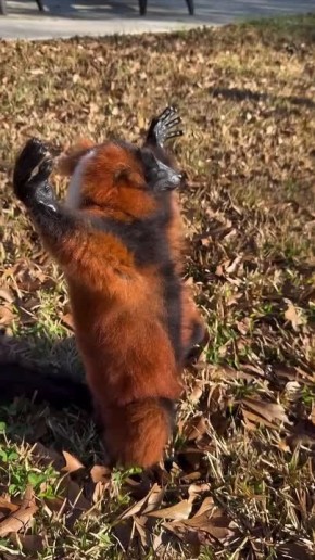 Ну наконец-то солнце!. Только тепла не ждем, ведь сегодня будет так: Температура: сейчас -3°, днём поднимется до +4°