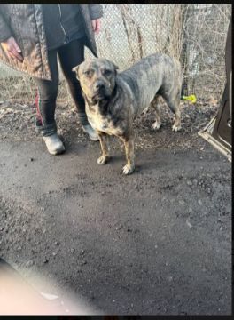 Владислав Евтушенко: У меня от таких новостей портится настроение и возникает презрение к тем, кого людьми сложно назвать