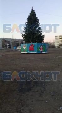 Слабаков в Зугрэс не держат: городскую ёлку разберут летом