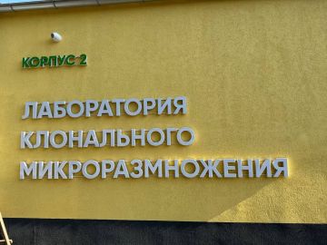 � �������� ������������ ���� �������� ������ ���� �������������