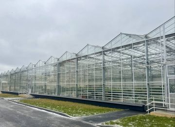 Подмосковные строители обновили ботанический сад в Донецке