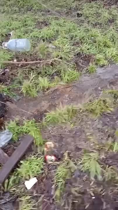 ��� ��������� ��-�� ��������� ��������� �������� � ��������