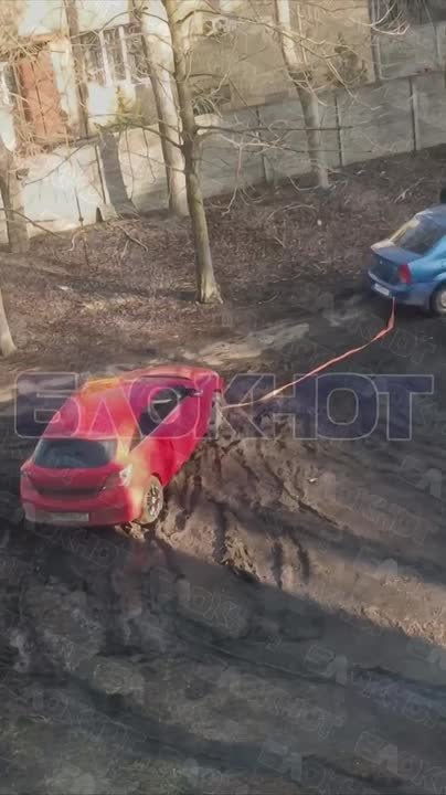 В Донецке на Текстильщиков, 15, автомобилисты так раскатали газон, что машины садятся «на брюхо»