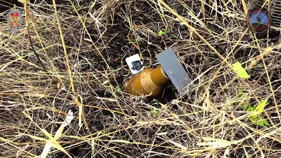 ���������� ������������ ���������� �������� ����� �� �������� �������������� �������������� ���