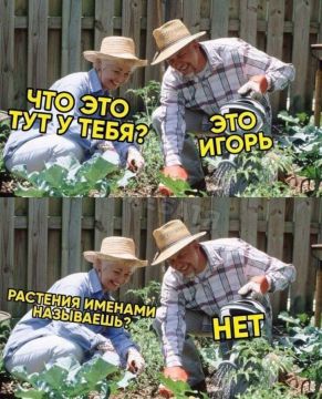 Внезапно: садоводство лечит от депрессии