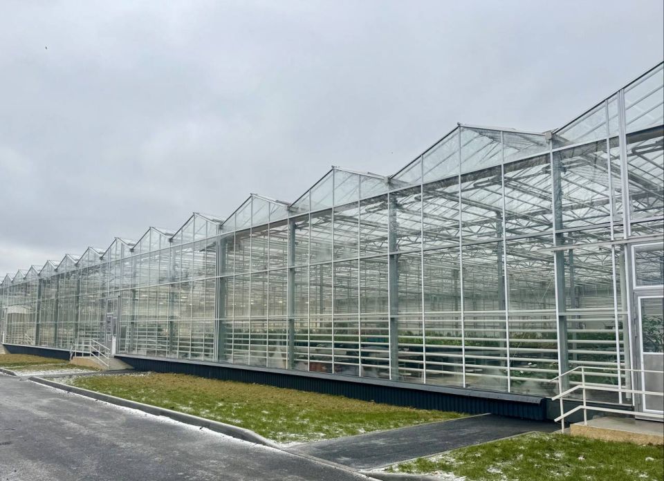 ������������ ��������� �������� ������������ ��� � �������