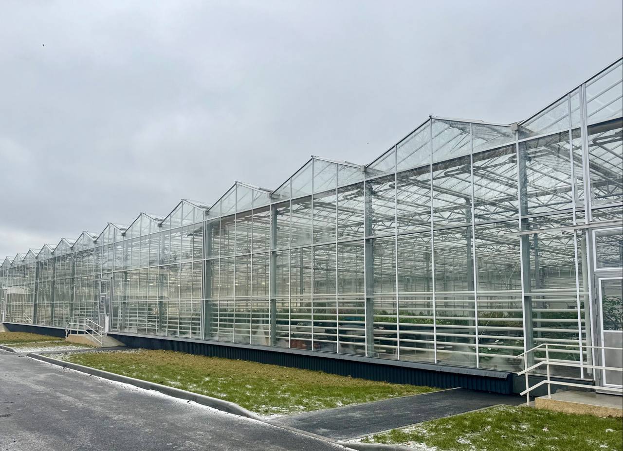 Подмосковные строители обновили ботанический сад в Донецке