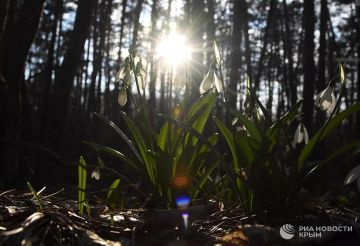 Погода на новых территориях России