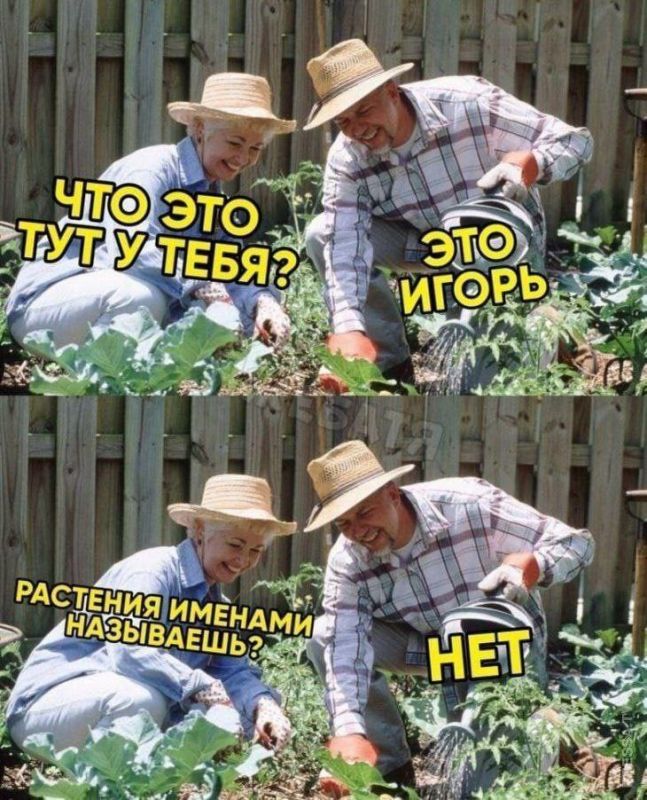 ��������: ����������� ����� �� ���������