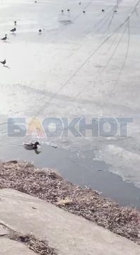 Обстановка на набережной Кальмиуса сейчас