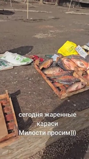 ������� ������������ ���������, ����� ����� �������� ����� � �������� ������������� � ��������