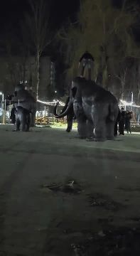 ���������� �������� �������� ��������, ������� ���������� �������� � ���������� �����