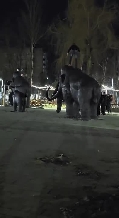 ���������� �������� �������� ��������, ������� ���������� �������� � ���������� �����