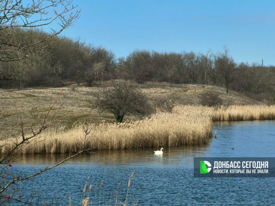 ����� ��� � �������