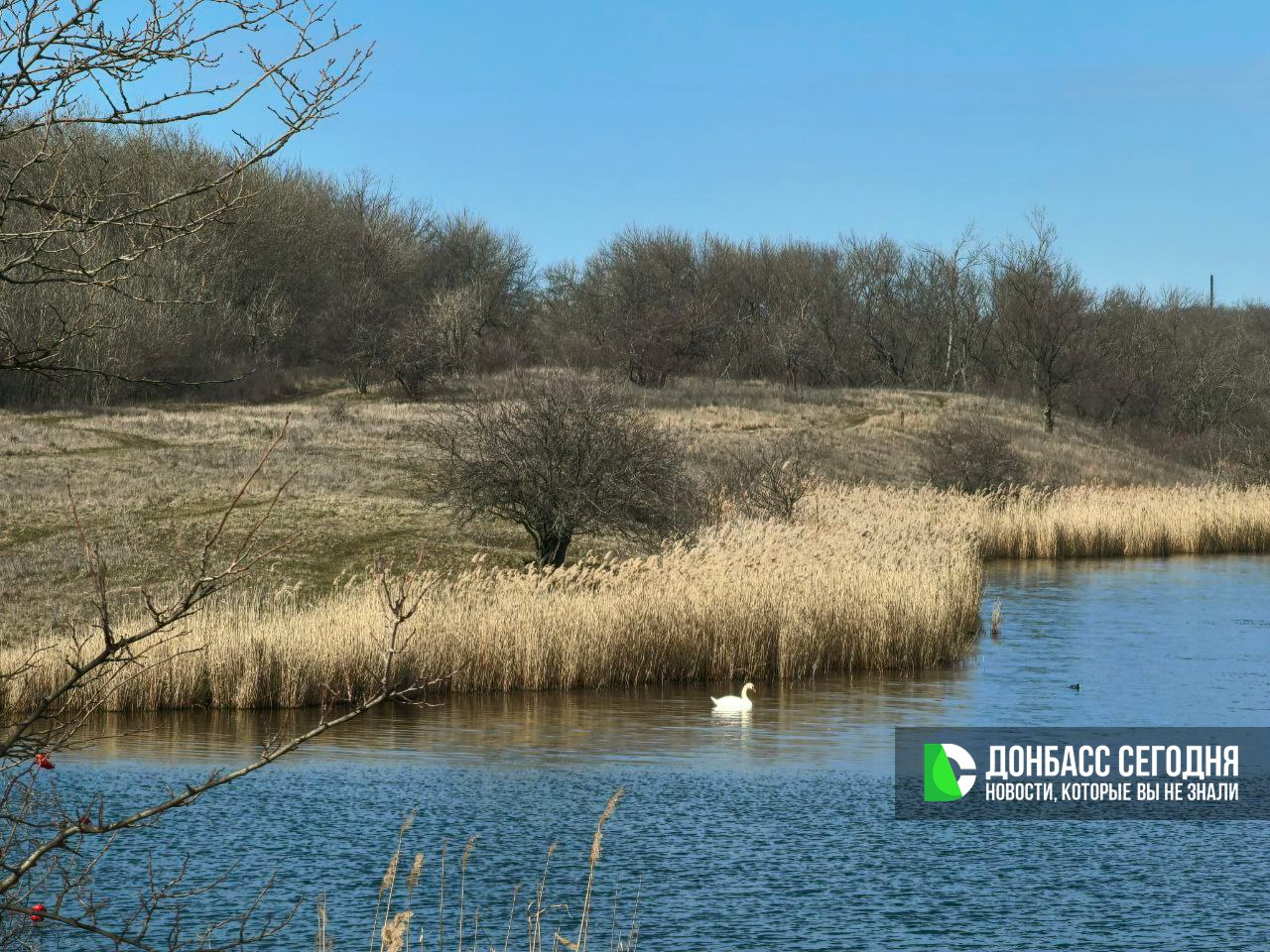 Весна уже в Донецке