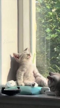 Собираемся с силами и пытаемся проснуться