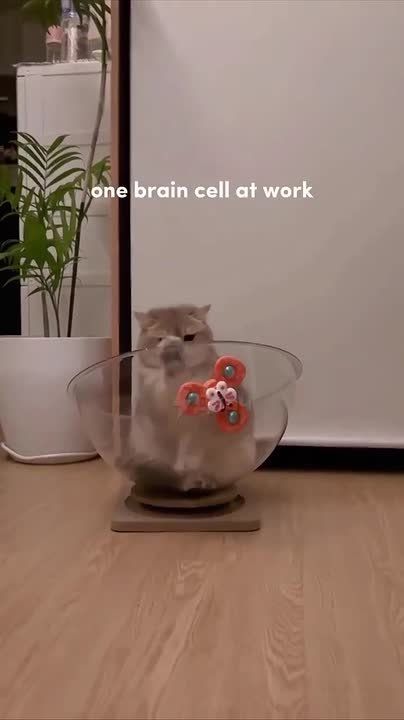 ��������, � �������� ����� ����������!