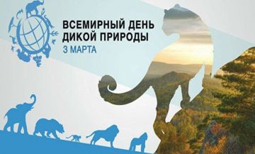 3 марта – Всемирный день дикой природы: история и значение праздника