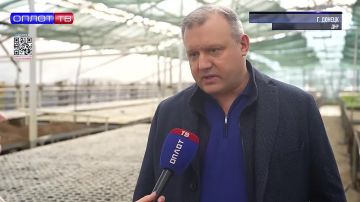 Со снегом сошел и асфальт?