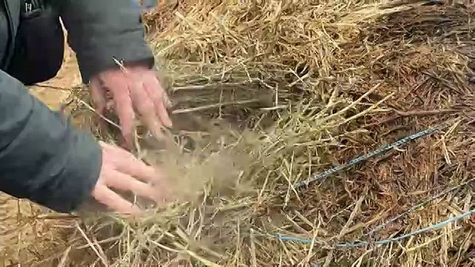 Под кем-то зашаталось кресло!!!