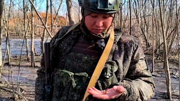 ����� ������ ������� �������� ��������� �� ������������ ��������������