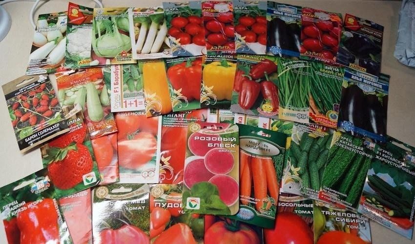 ���������� ����������������� �� �������� �������� ���������� � ��������� �������� ���������� �������� �������� ���������������������������, ��� ��� ���������� ����� �������������������� �������� ���������� �����������������...