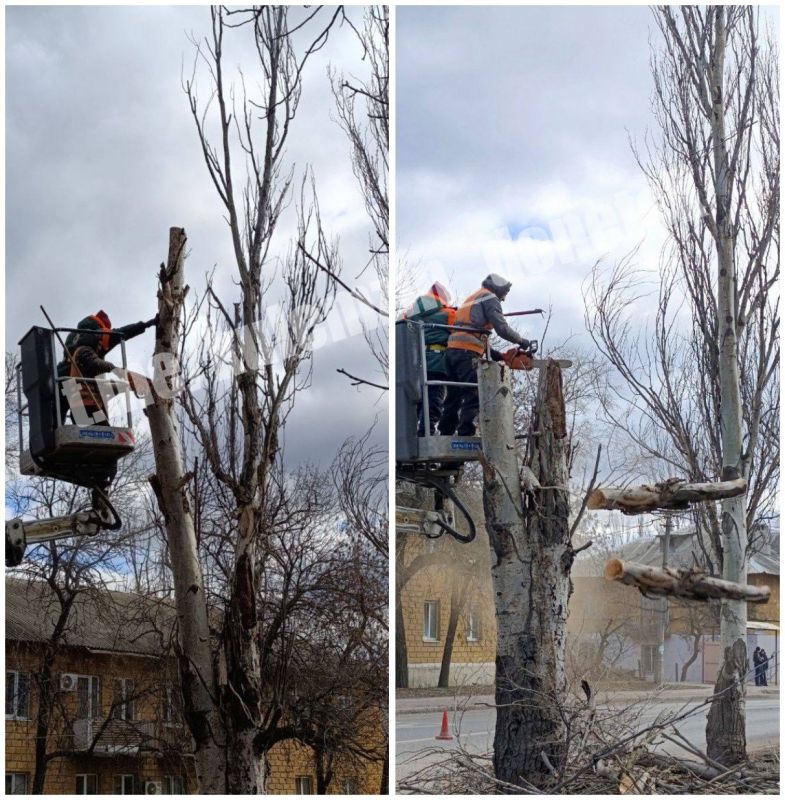 � �������� ������� ���������� ��������� ������ �� ���������� ��������� � ����������� ��������, ������������ ������ ��� ������� ���������