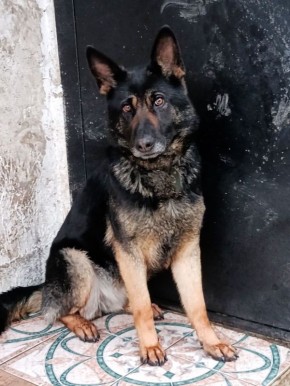 ������� �������� ������� � ������ ��� - ������