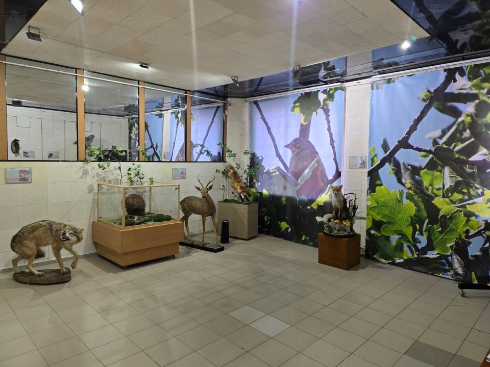 �������� �������� ��������� ��������: ������� � ���������