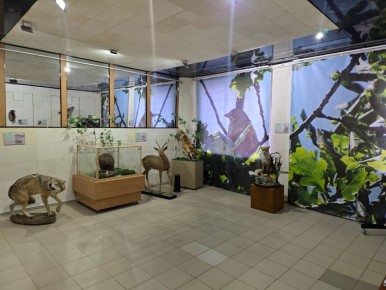 �������� �������� ��������� ��������: ������� � ���������