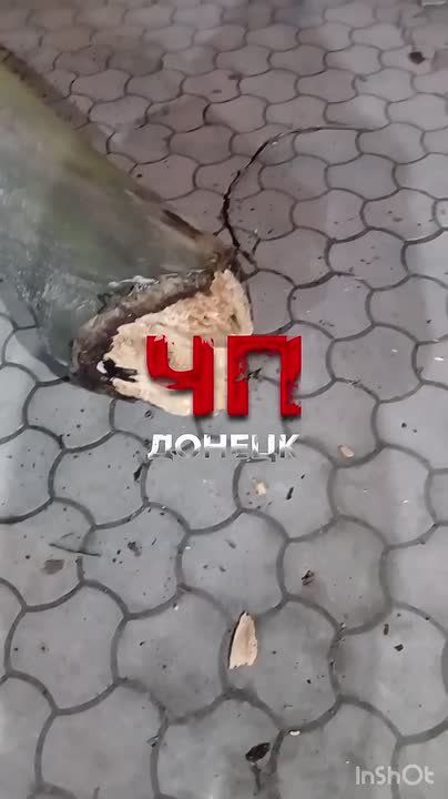 ������ ����� �� ����� ���������������, 98 � �������