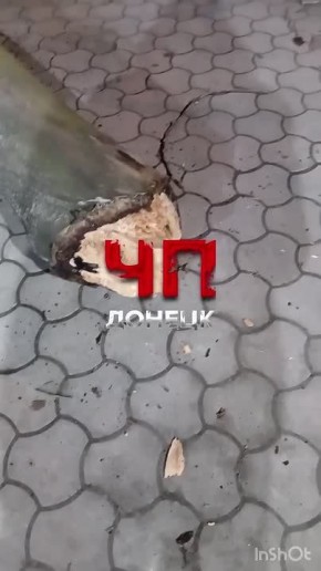 ������ ����� �� ����� ���������������, 98 � �������