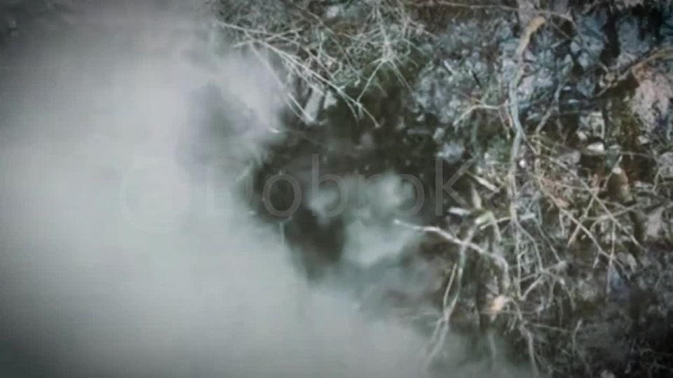 ����� ��������� ����� �������� ��������