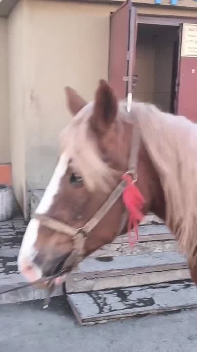 ������ � ����� �������� � ��������