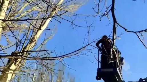 � ��� � ����� �������� ����� � ��������