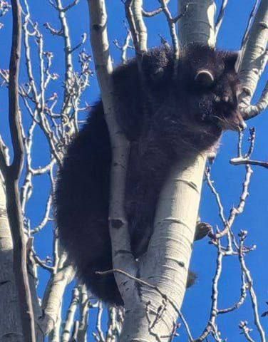 ���� ������� �� ������ �� ����� ��������� � ��������