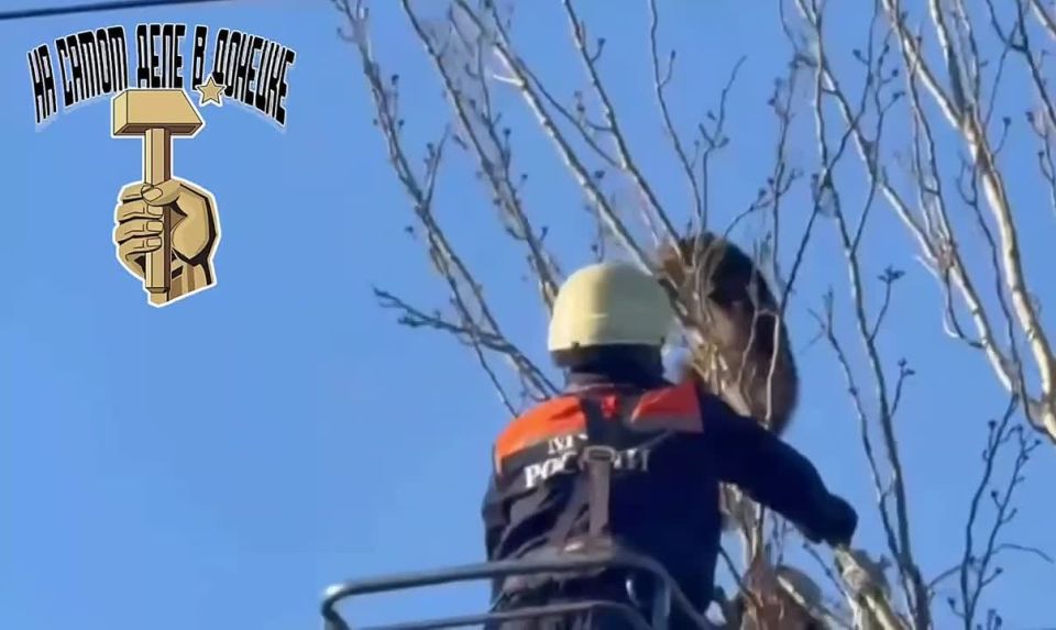 � �������� ���������� ��� ����� ����� � ������