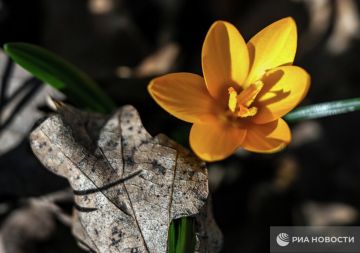 ������ �� ����� ����������� ������