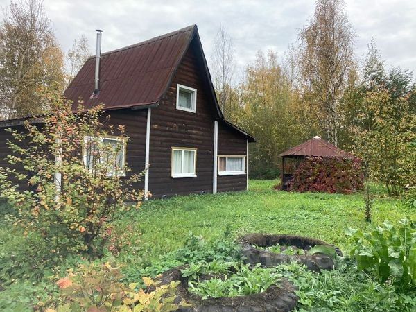 ��������� ������ �������� �� 2031 ����: ���������� ���������� �����, ����, ������ � ��������