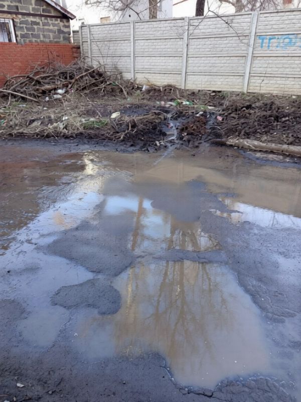 ����� �������� �� ����� �����������, 113 � �������